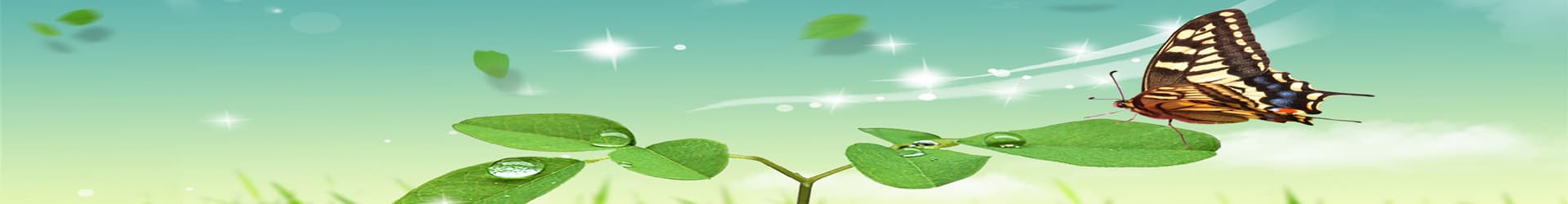 Fallback Desktop Banner